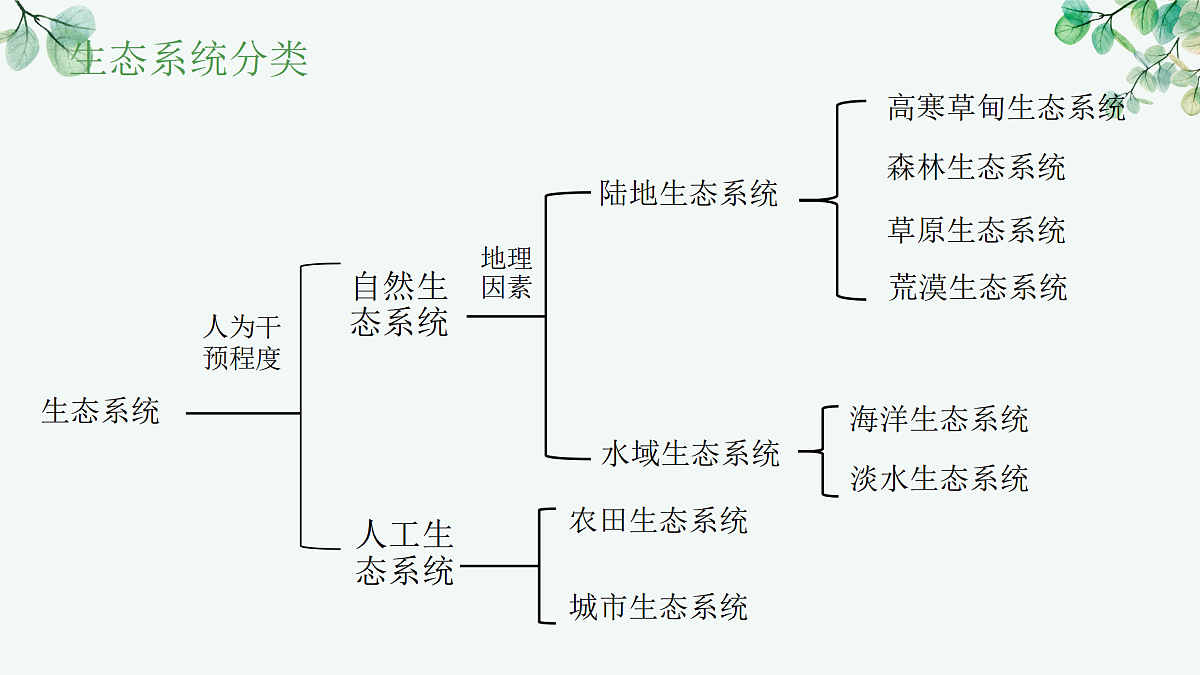 17515841第5页