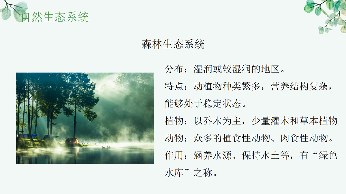 17515841第6页