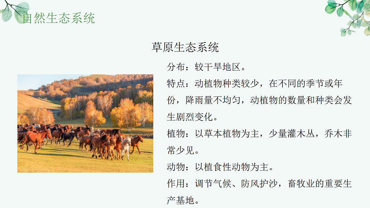 17515841第7页