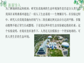 【核心素养目标】济南版初中生物八年级下8.2.6《生态安全是人类生存和发展的基本条件》课件