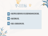 【核心素养目标】冀少版初中生物八年级下册6.1.1《有性生殖》课件+教学设计