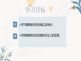 【核心素养目标】冀少版初中生物八年级下册6.1.2《无性生殖》课件+教学设计