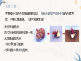 【核心素养目标】冀少版初中生物八年级下册6.1.2《无性生殖》课件+教学设计