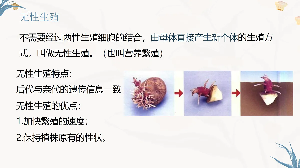 【核心素养目标】冀少版初中生物八年级下册6.1.2《无性生殖》课件第5页