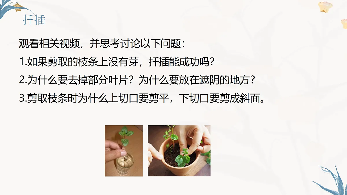 【核心素养目标】冀少版初中生物八年级下册6.1.2《无性生殖》课件第8页