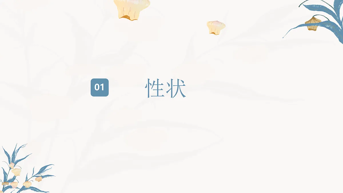 【核心素养目标】冀少版初中生物八年级下册6.2.1《生物的性状》课件第4页