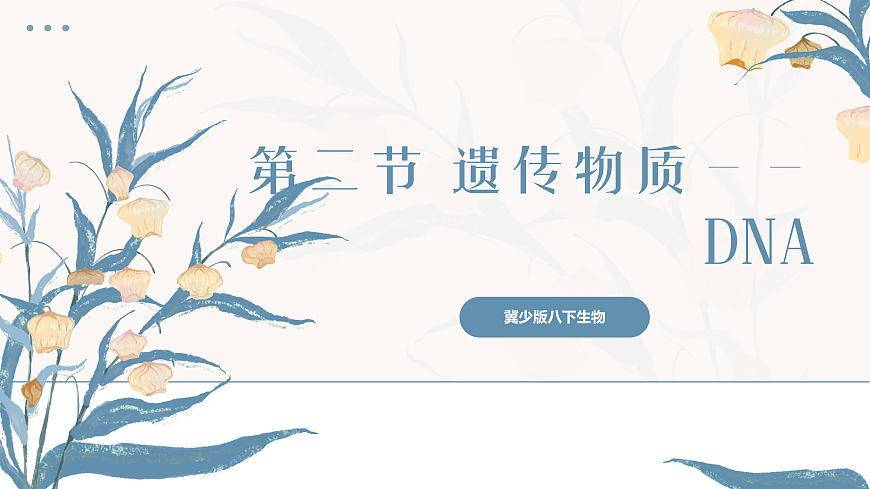 【核心素养目标】冀少版初中生物八年级下册6.2.2《遗传物质——DNA》课件第1页