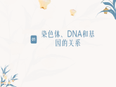 【核心素养目标】冀少版初中生物八年级下册6.2.2《遗传物质——DNA》课件+教学设计