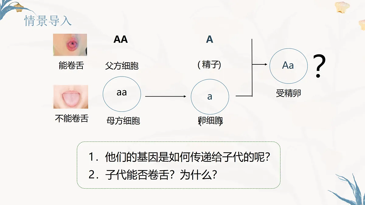 【核心素养目标】冀少版初中生物八年级下册6.2.3《基因的传递》课件第2页