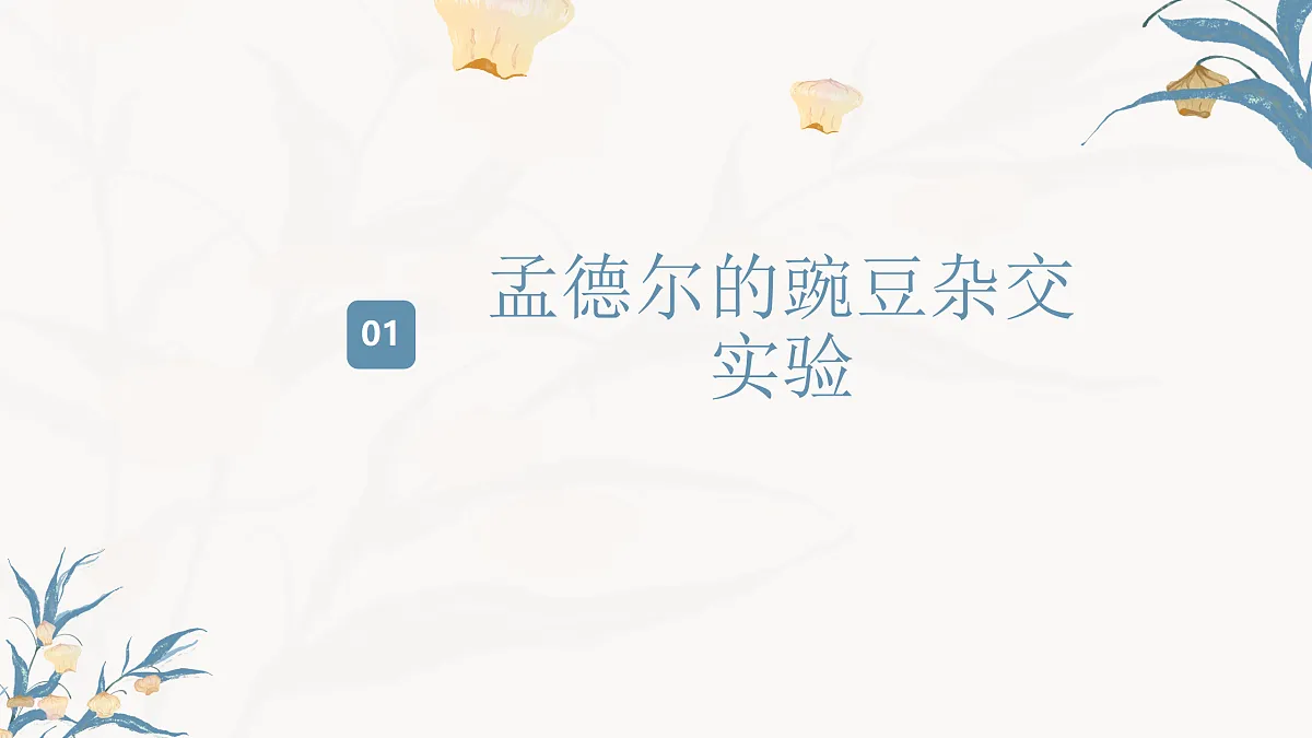 【核心素养目标】冀少版初中生物八年级下册6.2.3《基因的传递》课件第4页