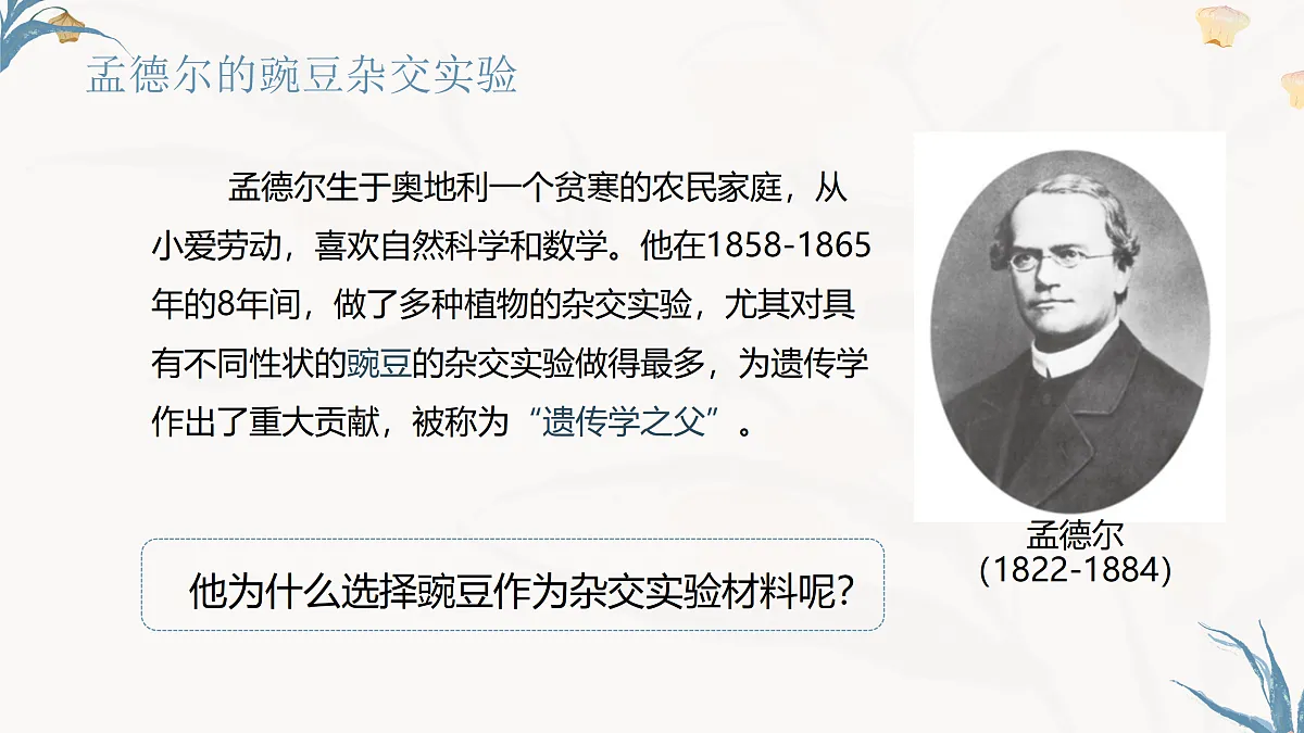 【核心素养目标】冀少版初中生物八年级下册6.2.3《基因的传递》课件第5页