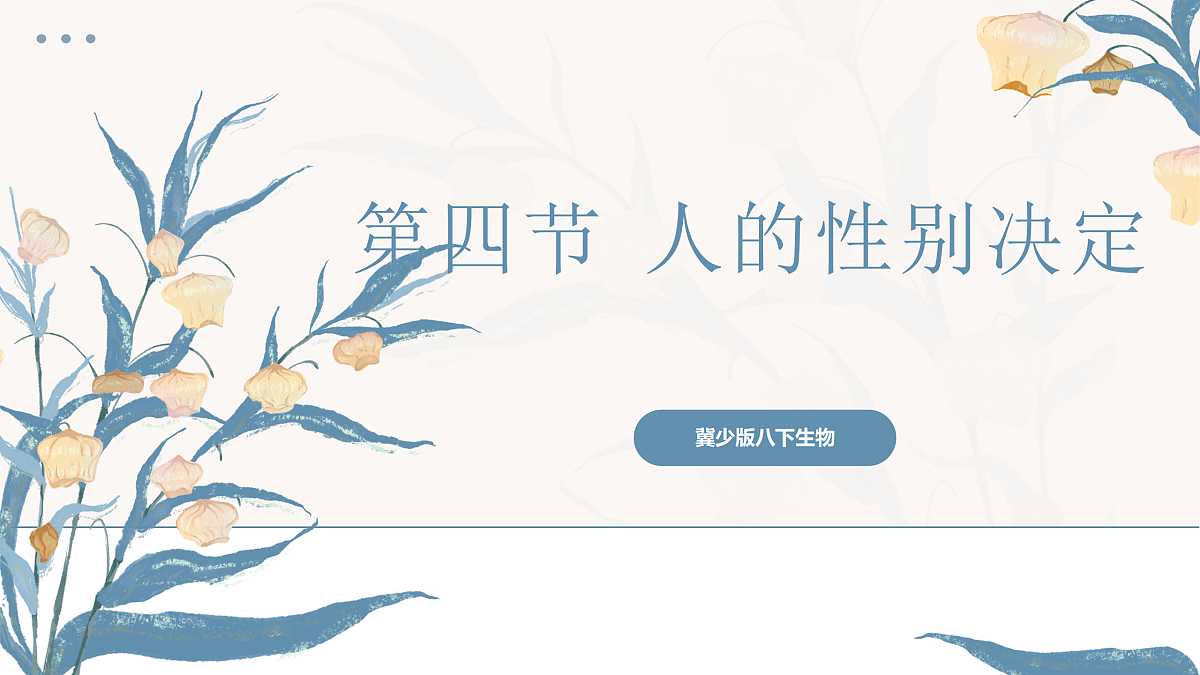 【核心素养目标】冀少版初中生物八年级下册6.2.4《人的性别决定》课件第1页