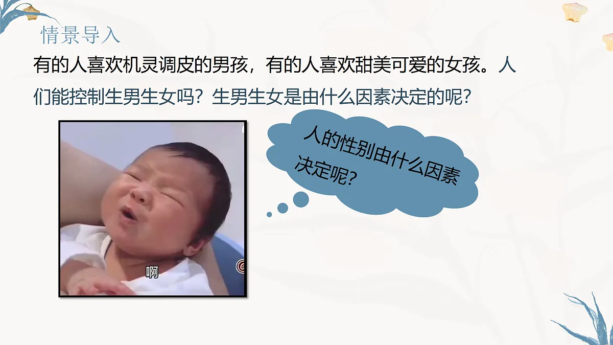 【核心素养目标】冀少版初中生物八年级下册6.2.4《人的性别决定》课件第2页