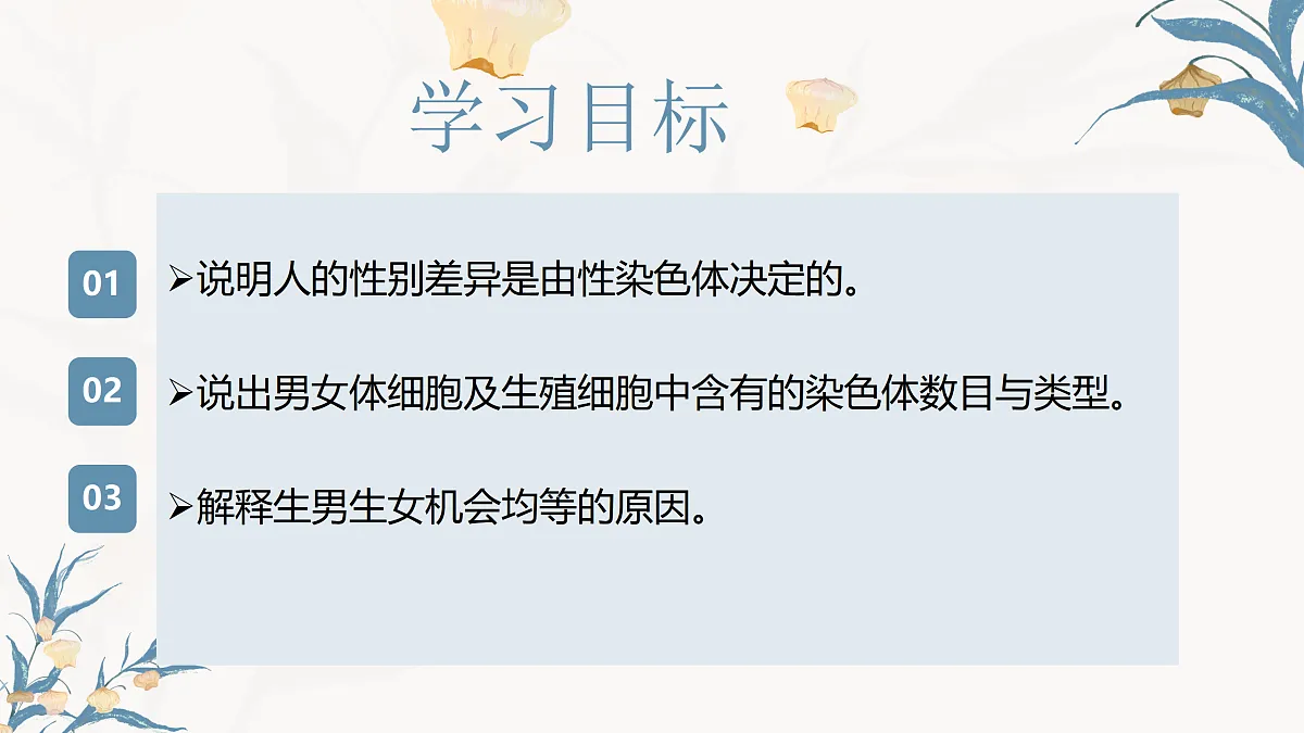 【核心素养目标】冀少版初中生物八年级下册6.2.4《人的性别决定》课件第3页