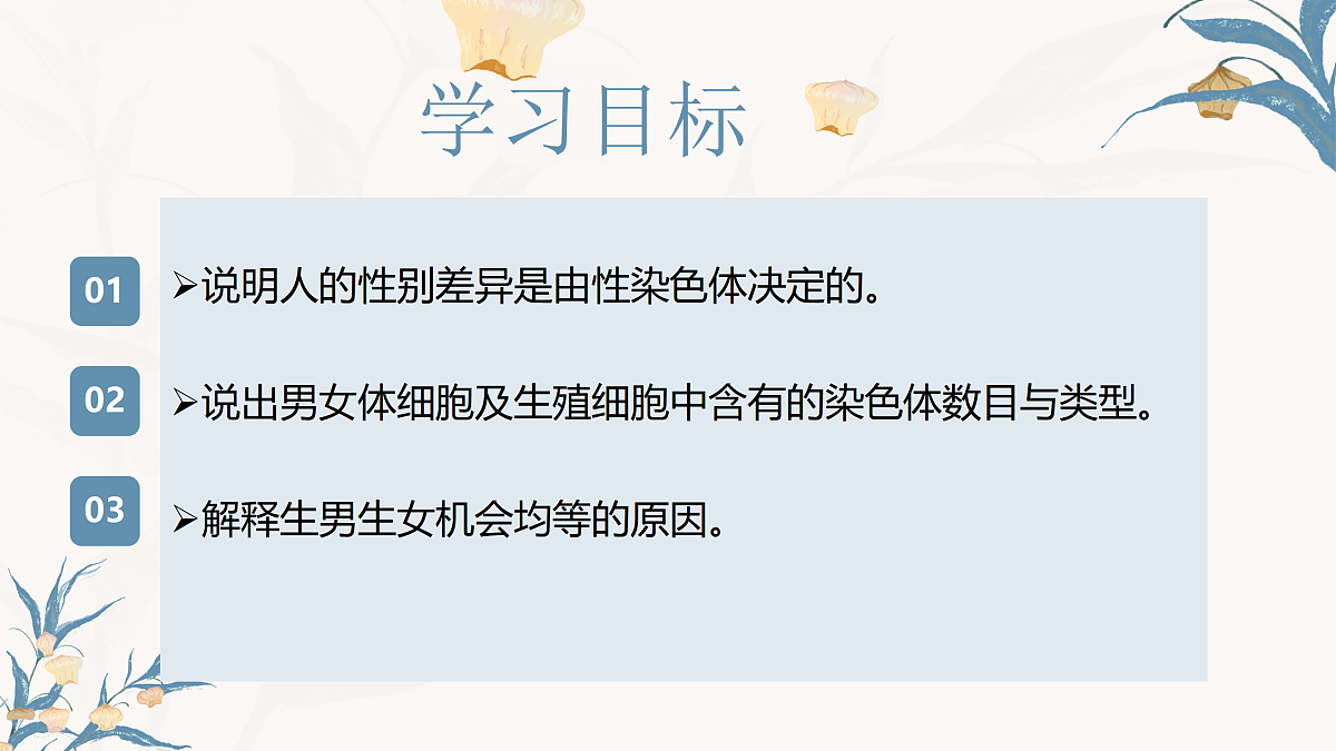 【核心素养目标】冀少版初中生物八年级下册6.2.4《人的性别决定》课件第3页