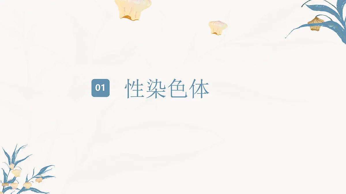 【核心素养目标】冀少版初中生物八年级下册6.2.4《人的性别决定》课件第4页