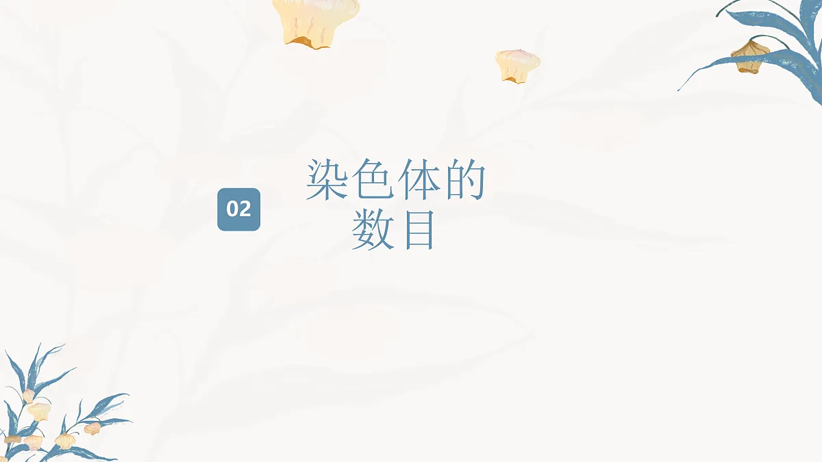 【核心素养目标】冀少版初中生物八年级下册6.2.4《人的性别决定》课件第8页