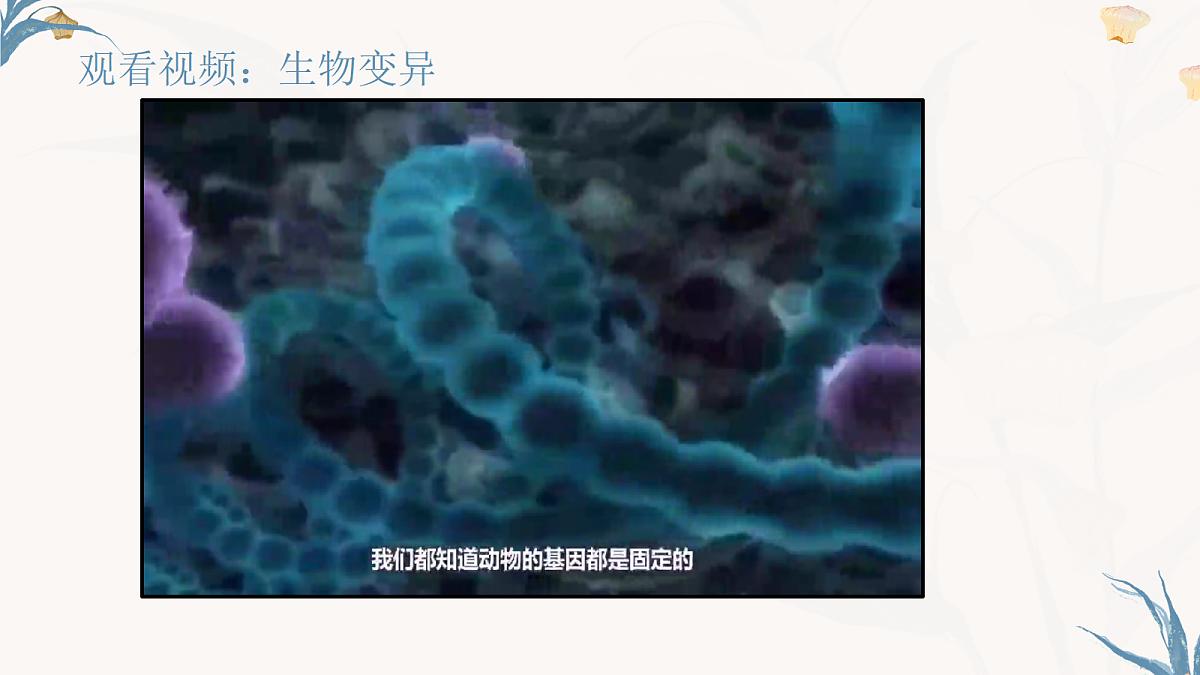 【核心素养目标】冀少版初中生物八年级下册6.2.5《生物的变异》课件第3页