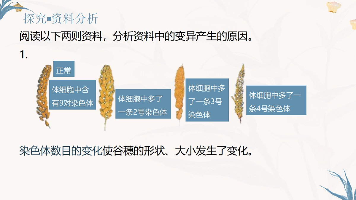 【核心素养目标】冀少版初中生物八年级下册6.2.5《生物的变异》课件第7页