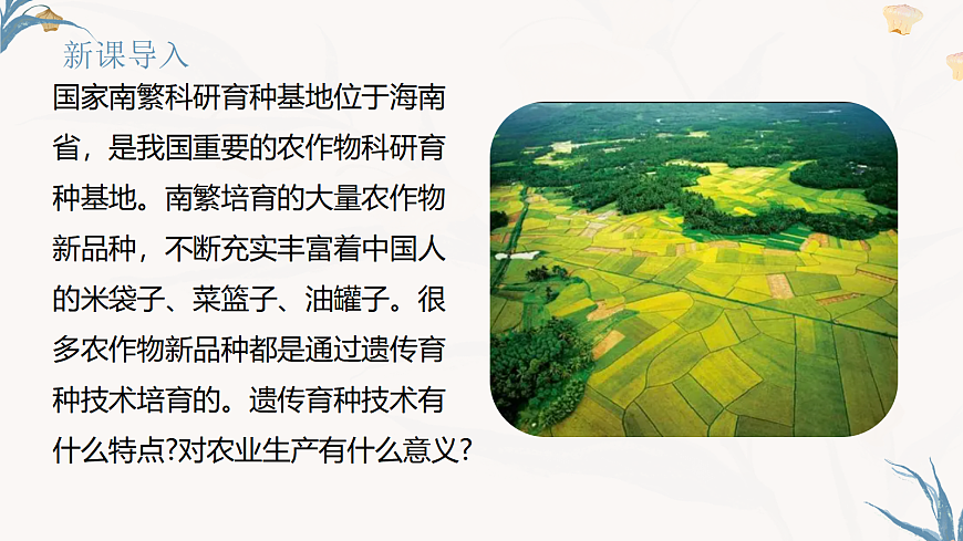 【核心素养目标】冀少版初中生物八年级下册6.2.6《遗传育种技术》课件第2页