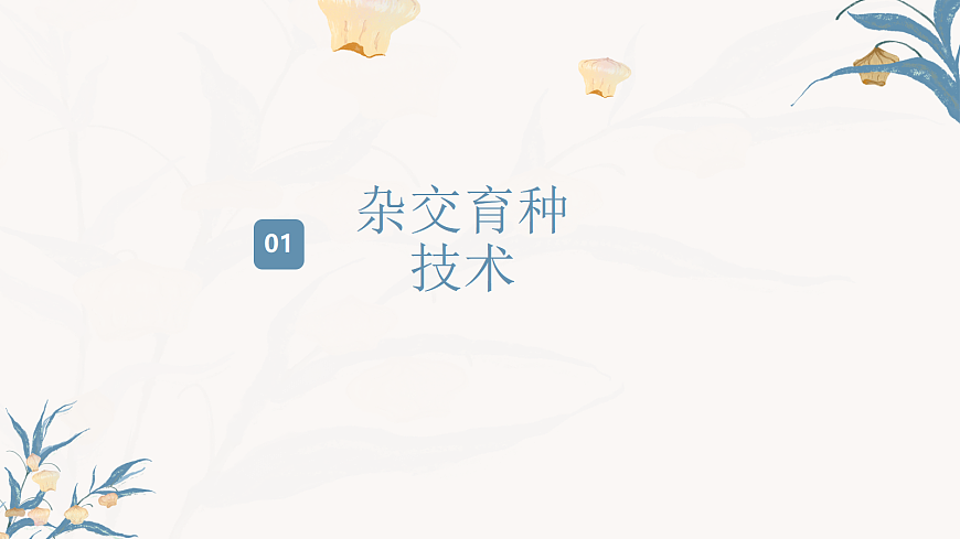 【核心素养目标】冀少版初中生物八年级下册6.2.6《遗传育种技术》课件第4页