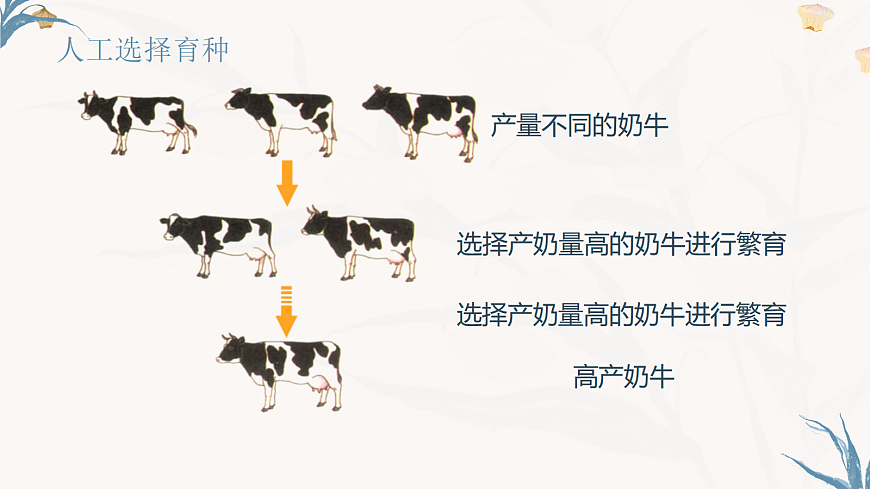 【核心素养目标】冀少版初中生物八年级下册6.2.6《遗传育种技术》课件第5页