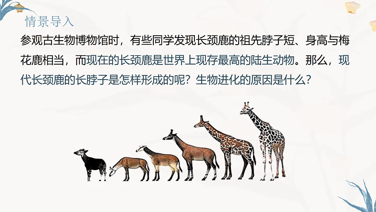 【核心素养目标】冀少版初中生物八年级下册6.3.3《生物进化的原因》课件第3页