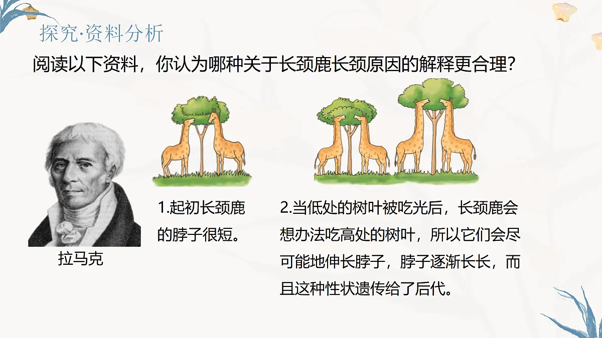 【核心素养目标】冀少版初中生物八年级下册6.3.3《生物进化的原因》课件第5页