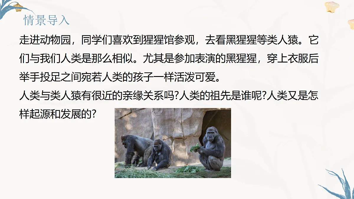 【核心素养目标】冀少版初中生物八年级下册6.3.4《人类的起源》课件第3页