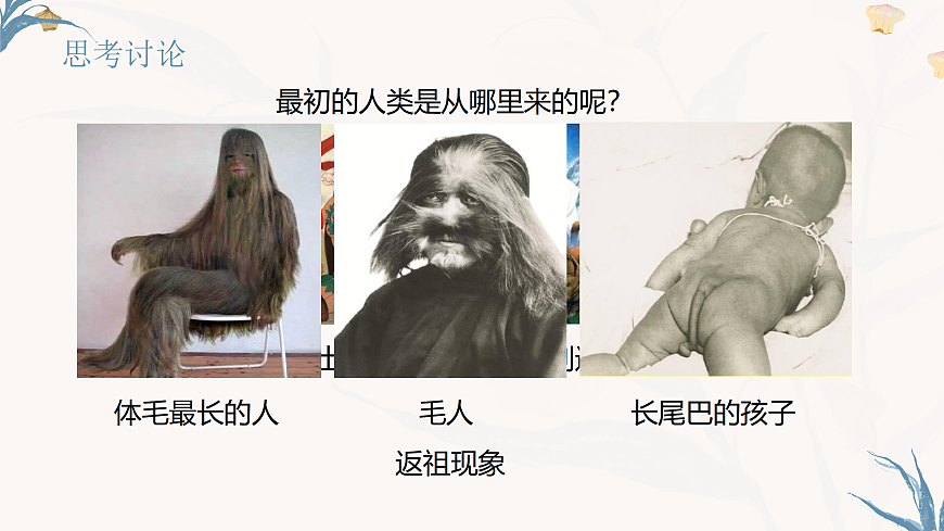 【核心素养目标】冀少版初中生物八年级下册6.3.4《人类的起源》课件第4页