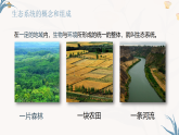 【核心素养目标】冀少版初中生物八年级下册7.1.3《生态系统的组成和类型》课件+教学设计