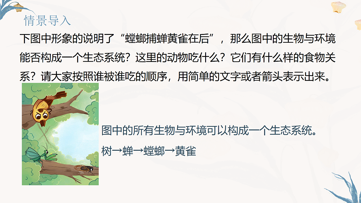 【核心素养目标】冀少版初中生物八年级下册7.1.4《食物链和食物网》课件第2页