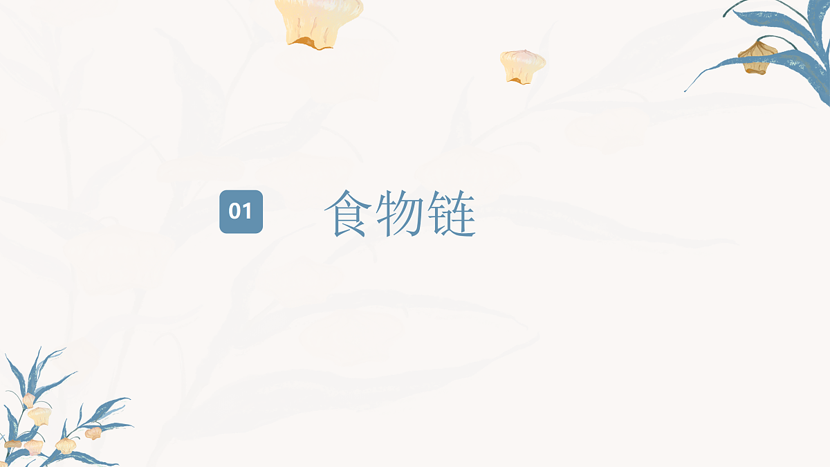 【核心素养目标】冀少版初中生物八年级下册7.1.4《食物链和食物网》课件第4页