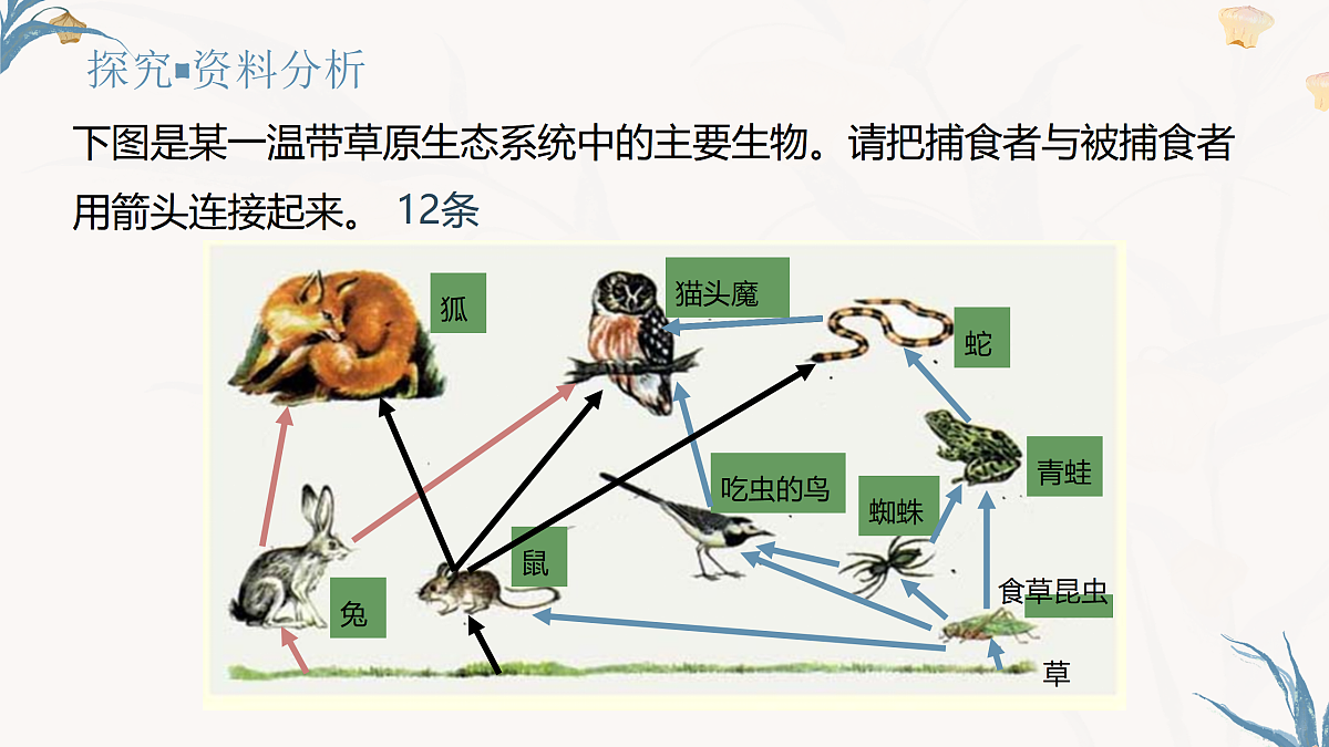 【核心素养目标】冀少版初中生物八年级下册7.1.4《食物链和食物网》课件第6页