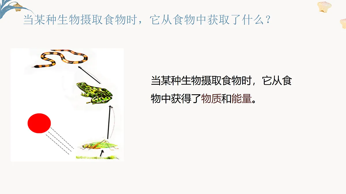 【核心素养目标】冀少版初中生物八年级下册7.1.5《生态系统中的物质循环和能量流动》课件第5页