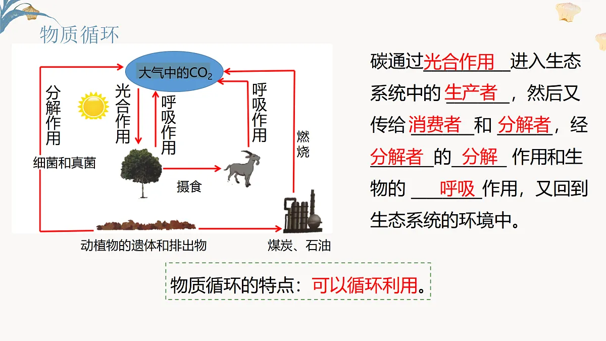 【核心素养目标】冀少版初中生物八年级下册7.1.5《生态系统中的物质循环和能量流动》课件第7页