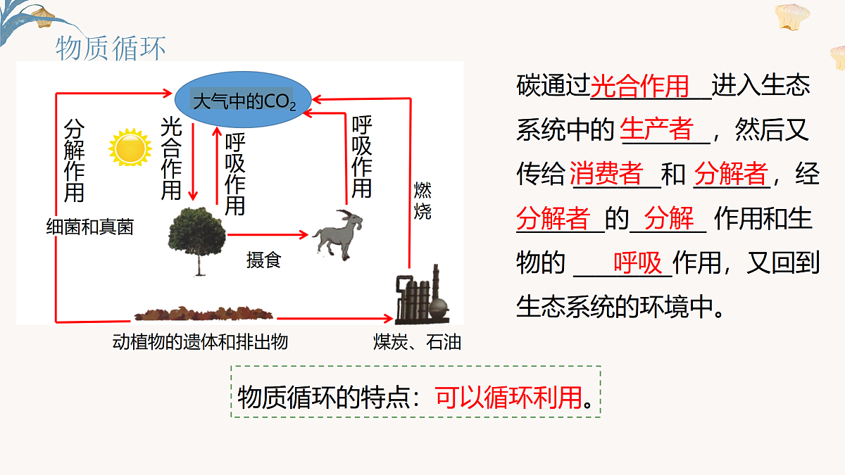 【核心素养目标】冀少版初中生物八年级下册7.1.5《生态系统中的物质循环和能量流动》课件第7页