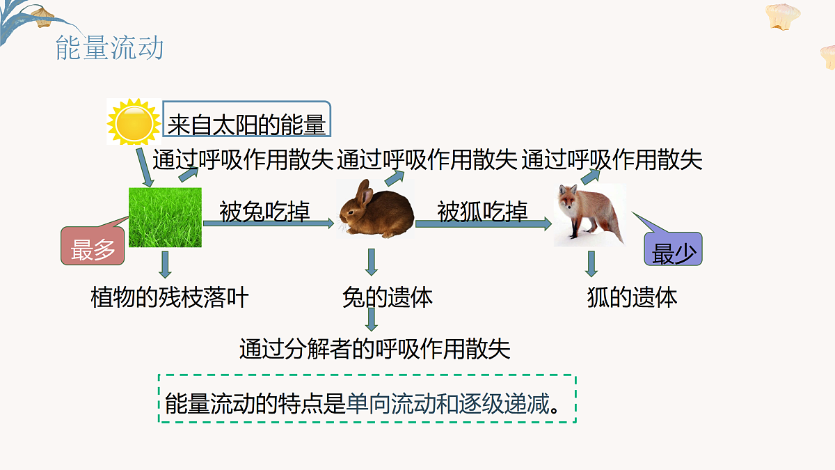 【核心素养目标】冀少版初中生物八年级下册7.1.5《生态系统中的物质循环和能量流动》课件第8页