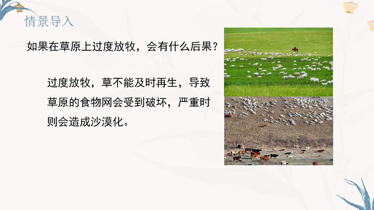 【核心素养目标】冀少版初中生物八年级下册7.2.1《生态系统的自我调节》课件第2页