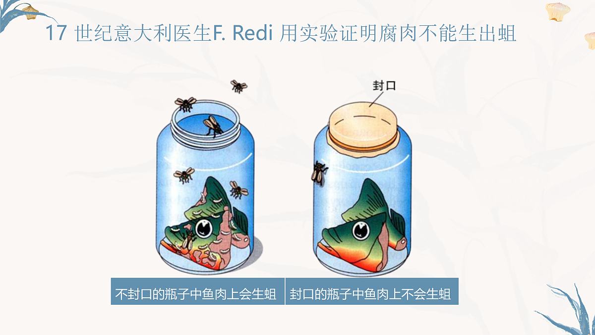 【核心素养目标】冀少版初中生物八年级下册6.3.1《生命的起源》课件第8页