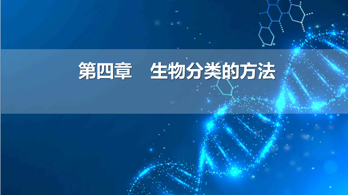 17516039第1页