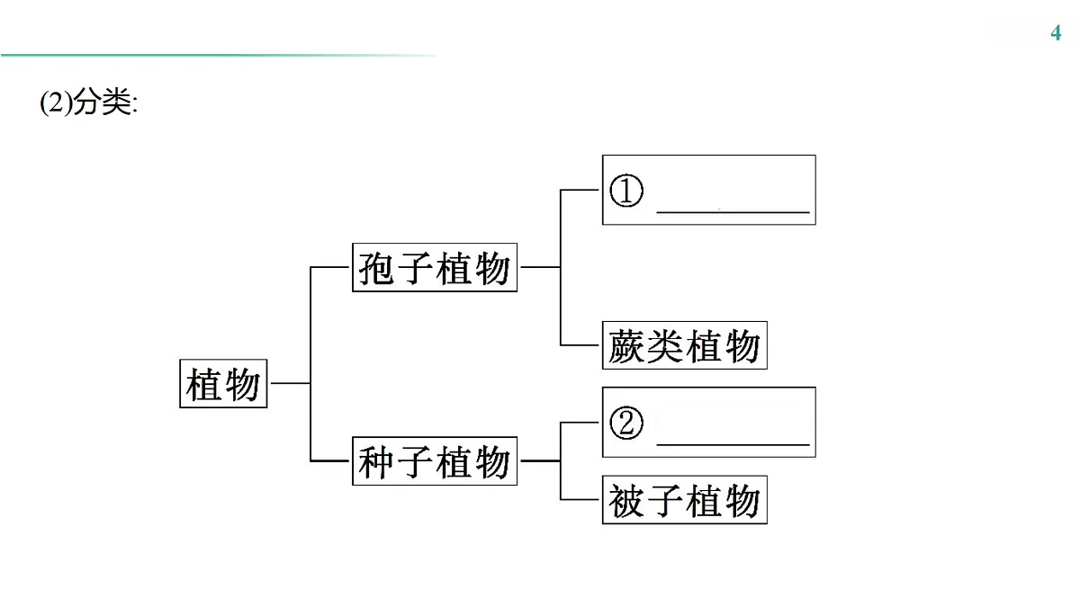 17516039第4页