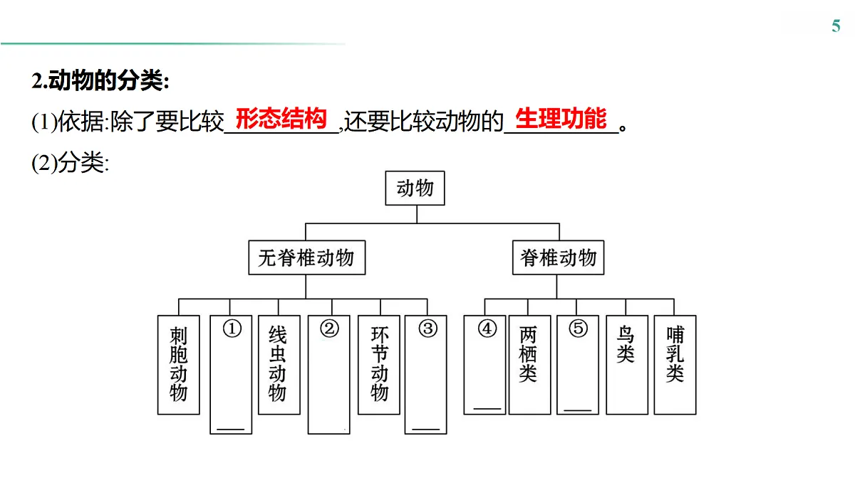 17516039第5页