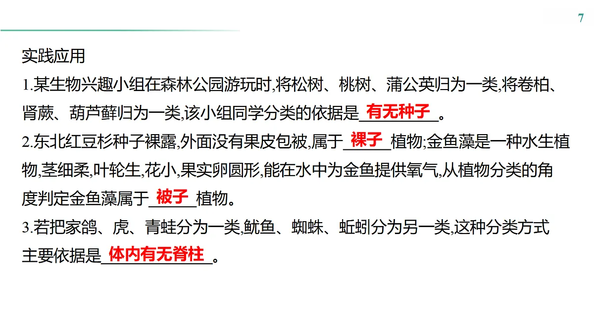 17516039第7页