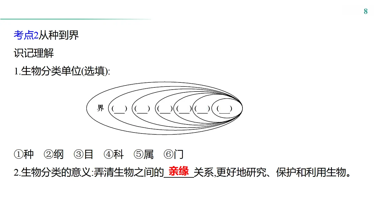 17516039第8页