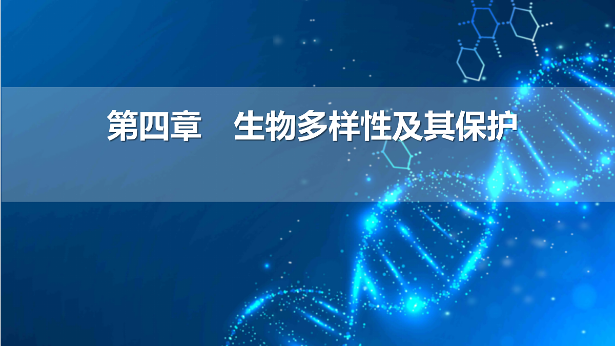 17516040第1页