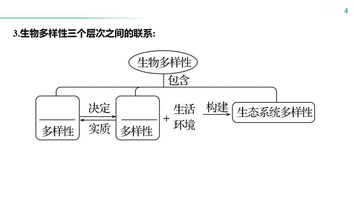 17516040第4页