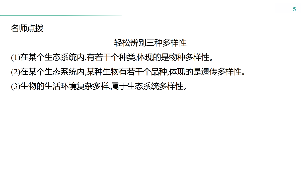 17516040第5页