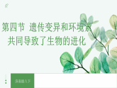 【核心素养目标】济南版初中生物八年级下7.1.4《遗传变异和环境素共同导致了生物的进化》课件