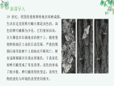 【核心素养目标】济南版初中生物八年级下7.1.4《遗传变异和环境素共同导致了生物的进化》课件